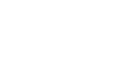 KPN logo